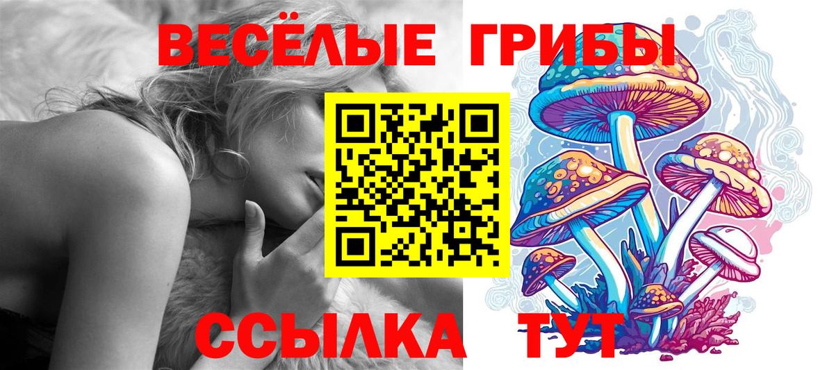 как найти закладки  Вход с VPN  Альметьевск  Псилоцибиновые грибы GOLDEN TEACHER 