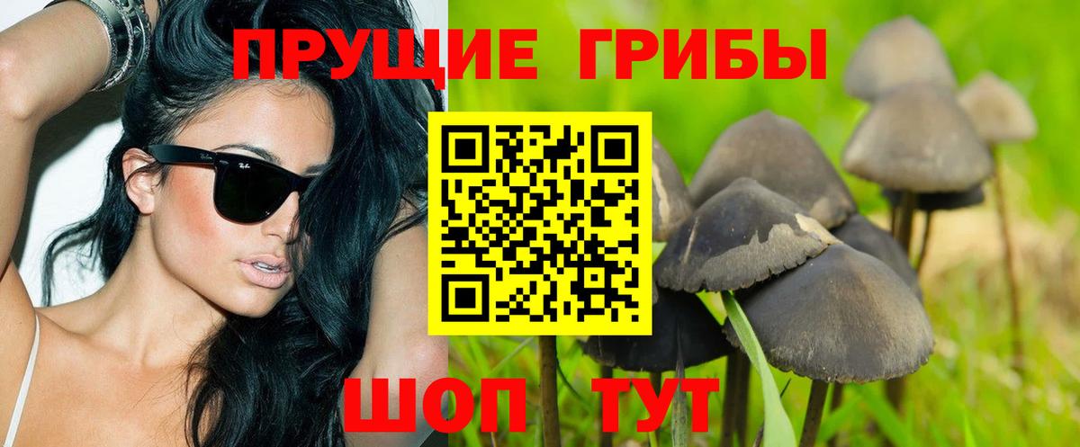 Галлюциногенные грибы мухоморы Альметьевск